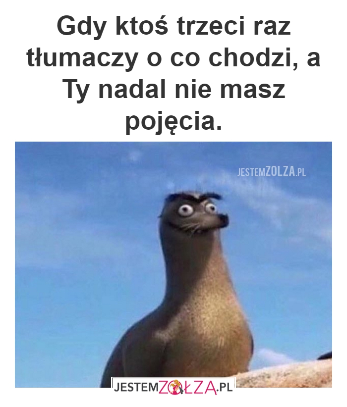 O co cho?