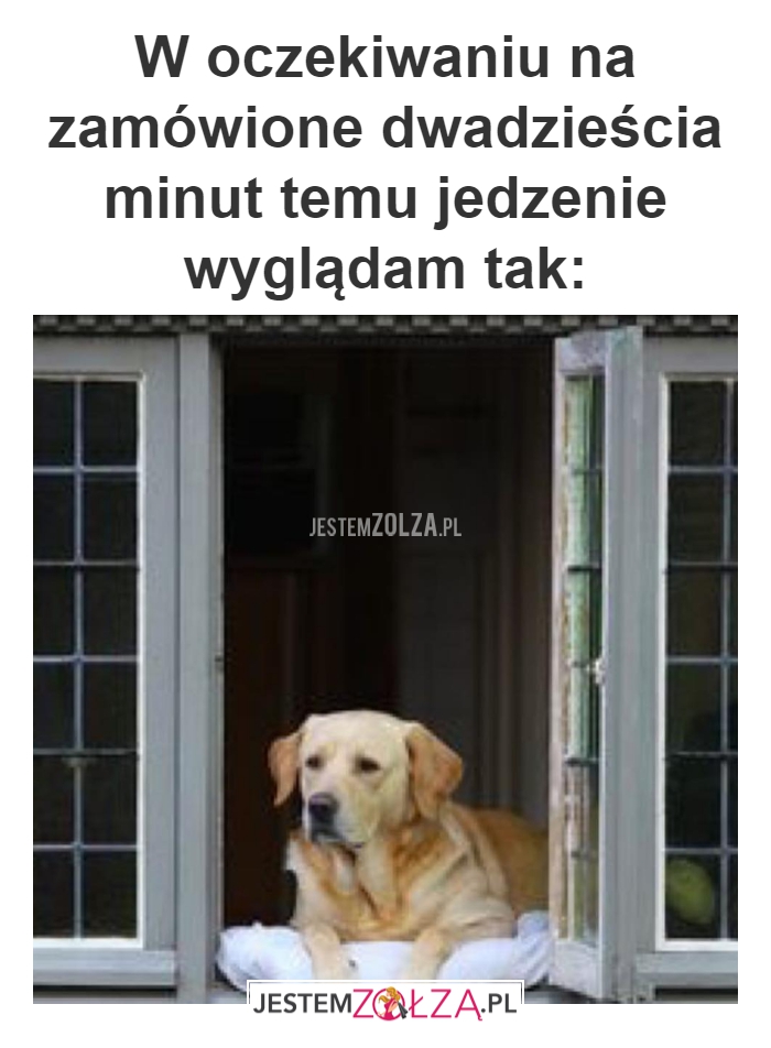Oczekiwanie