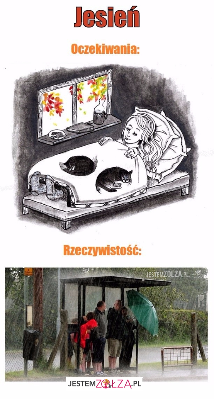 Jesień...