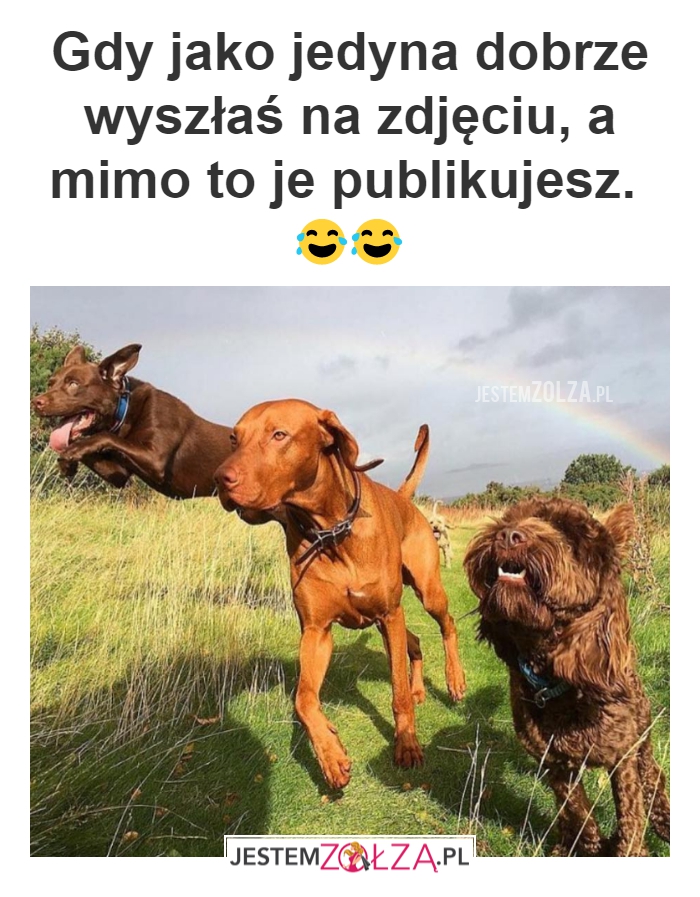 Dobre zdjęcie