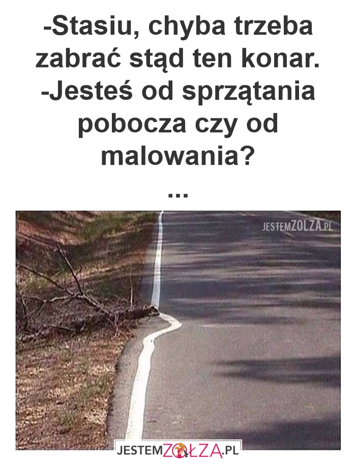 Podział obowiązków