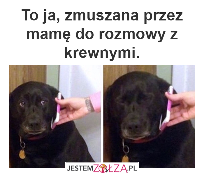 Krewni