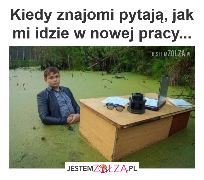 Nowa praca
