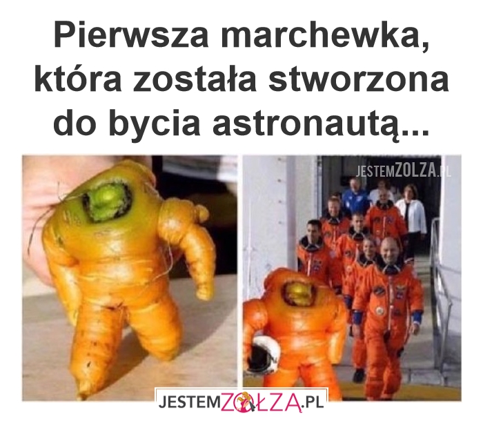 Bo warzywa też mają marzenia