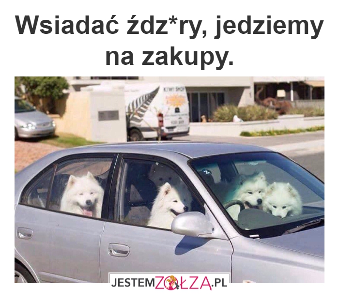 Wsiadać