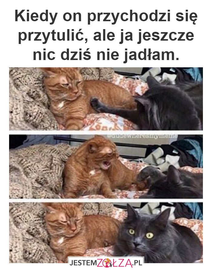 Ups