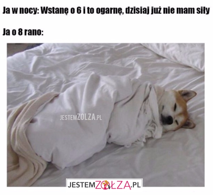 Ja w nocy