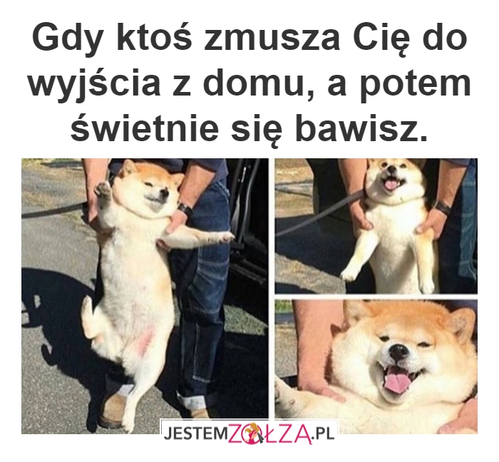 Zmuszona?