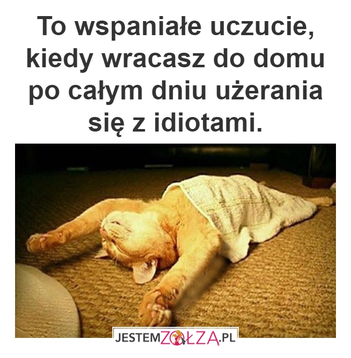 W końcu