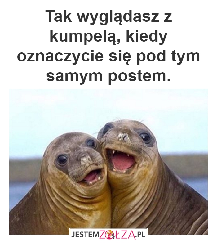 Tak, tak