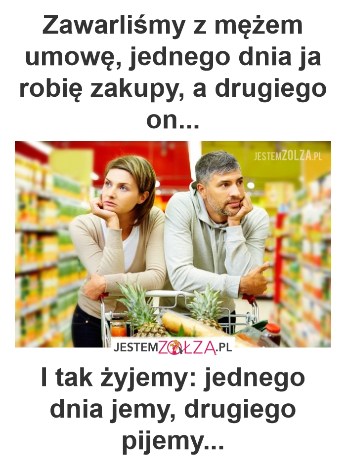 Podział obowiązków