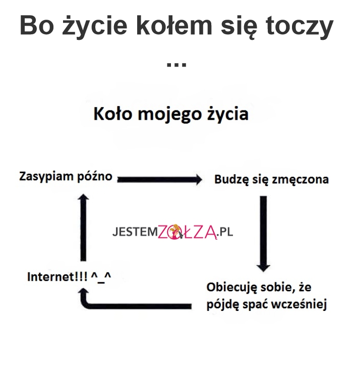 Krąg życia