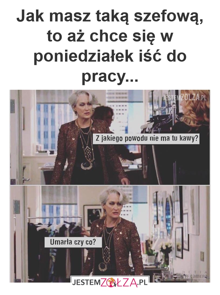 Szefowa