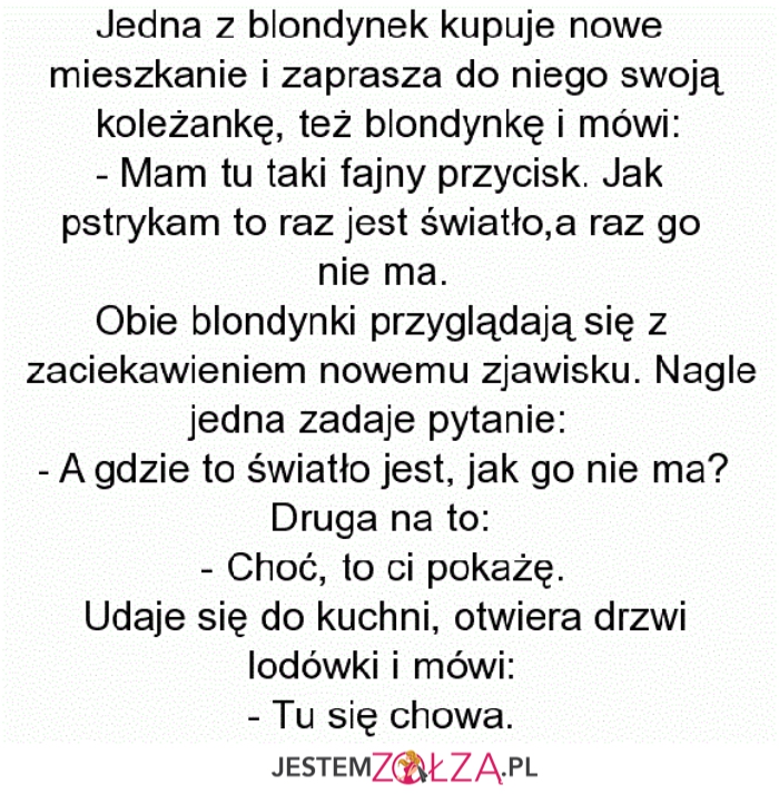 Blondynka kupuje mieszkanie