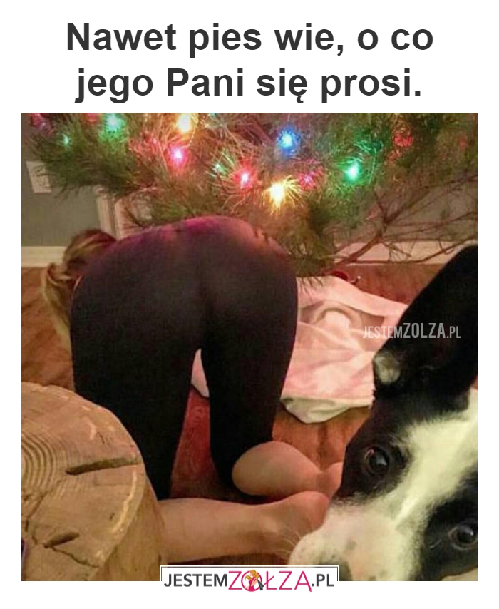 Proszę!