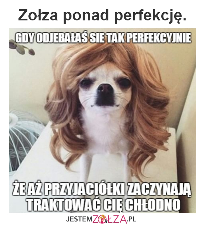 Chłodna
