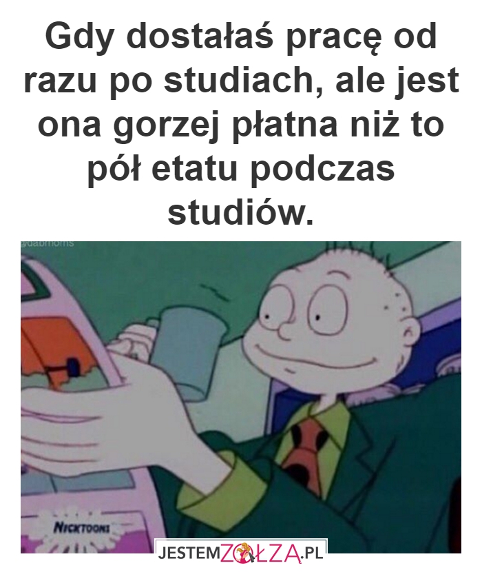 Praca po studiach