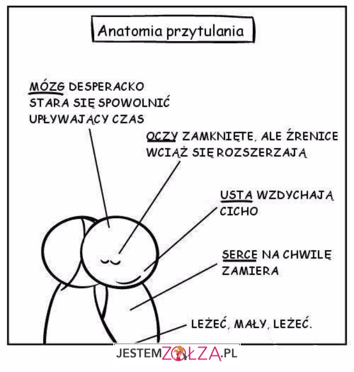 Anatomia przytulania