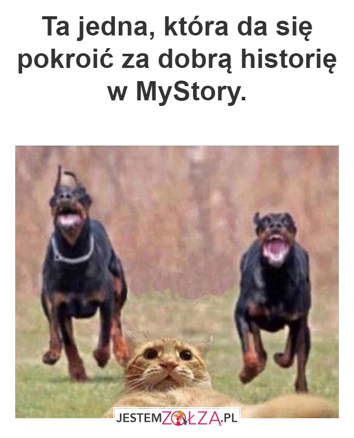 MyStory