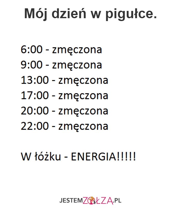 Opis dnia