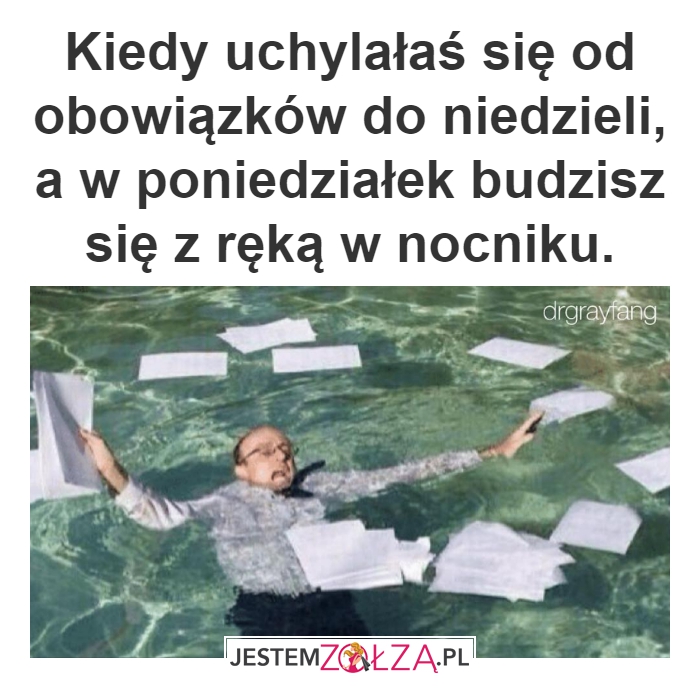 Obowiązki i nie tylko...