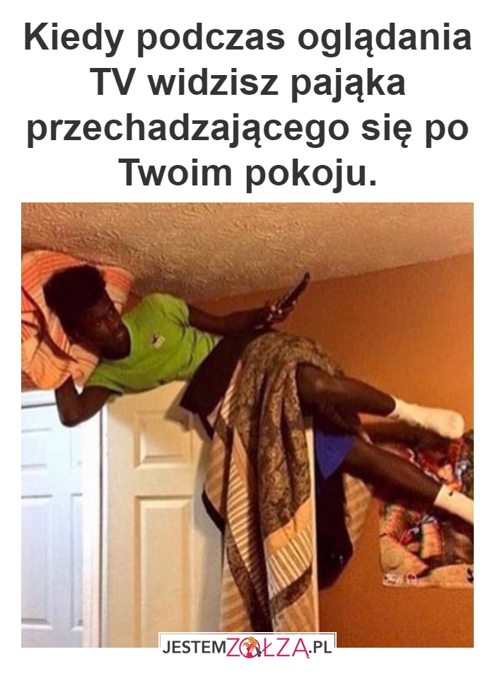Pająk