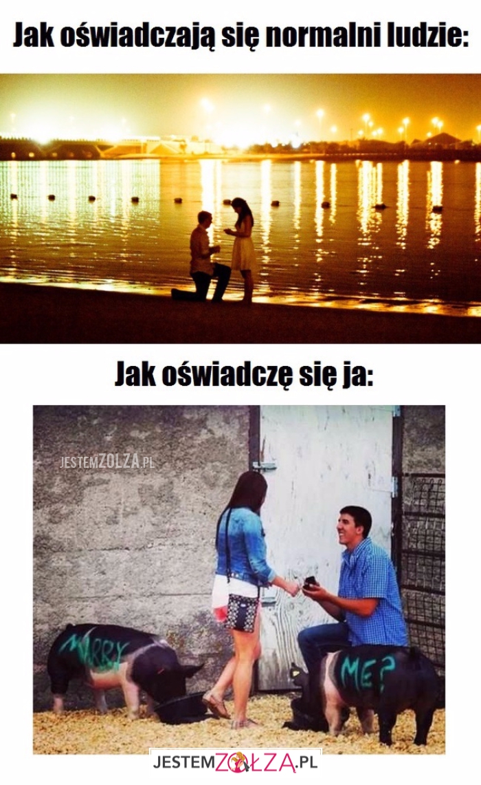 Jak się oświadczają...