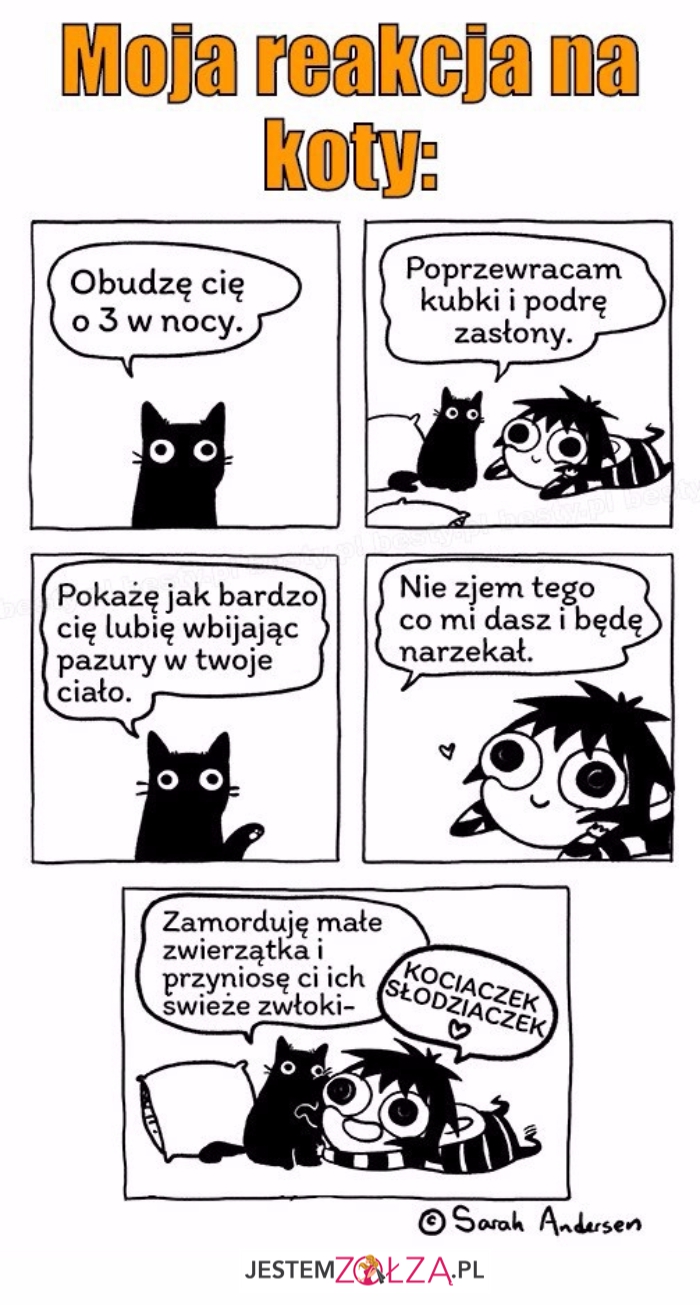 Reakcja na koty