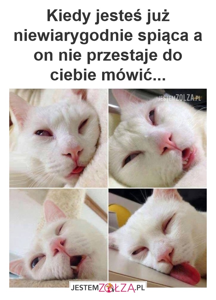 Śpiąca