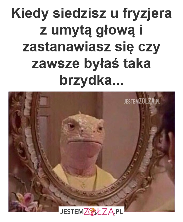 U fryzjera