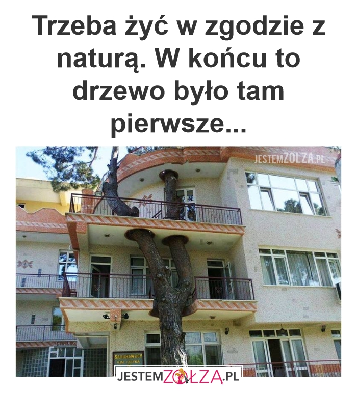W zgodzie z naturą