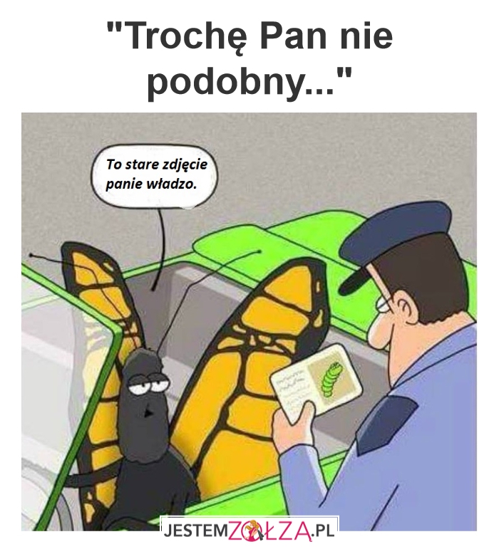 Policja