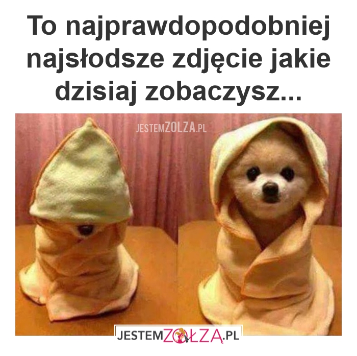 Słodziak