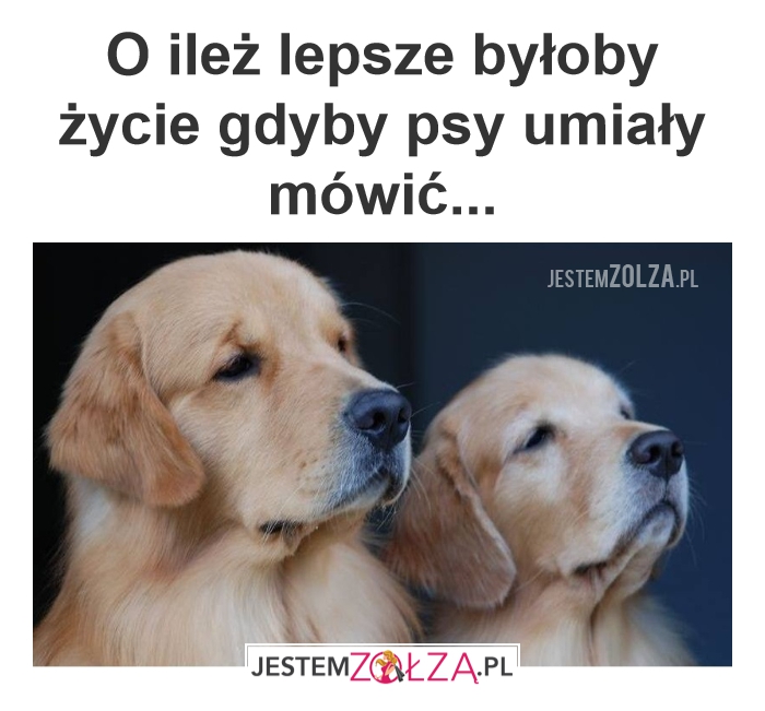 Lepsze życie
