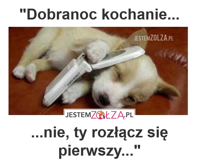 Dobranoc