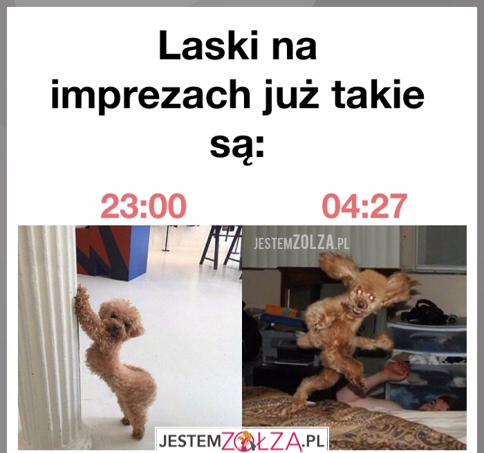 Laski na imprezach