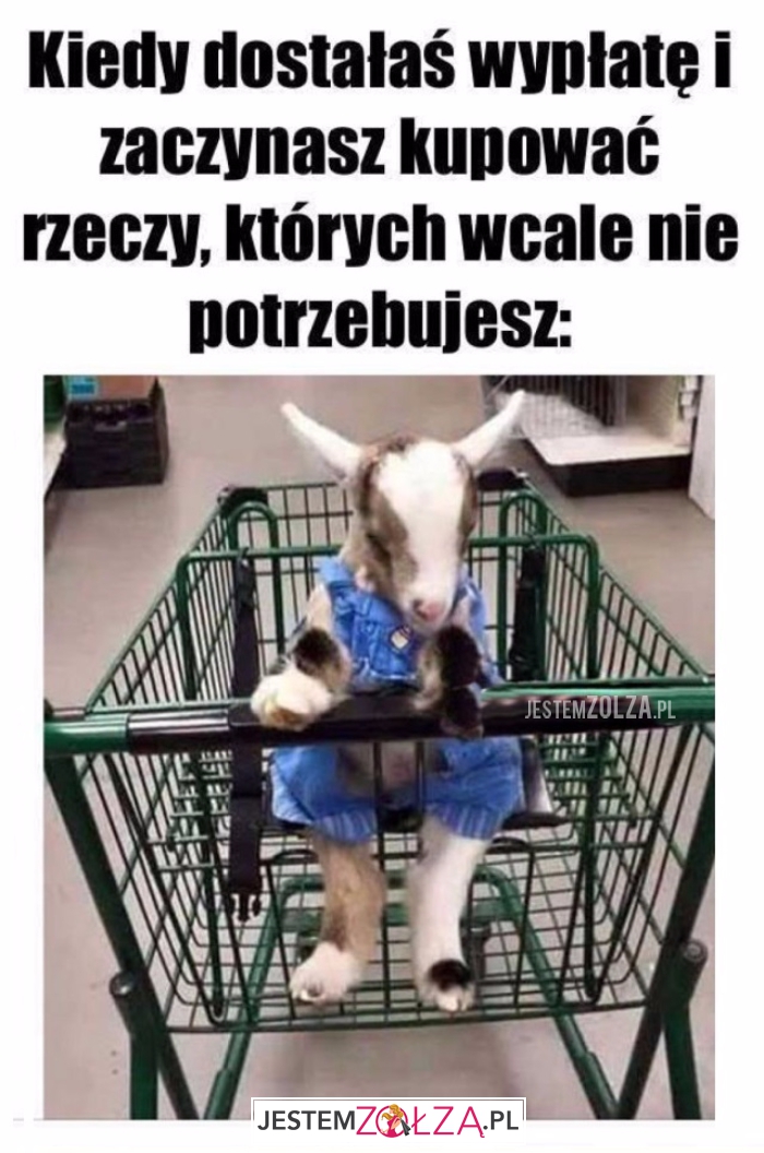 Kiedy dostałaś wypłatę