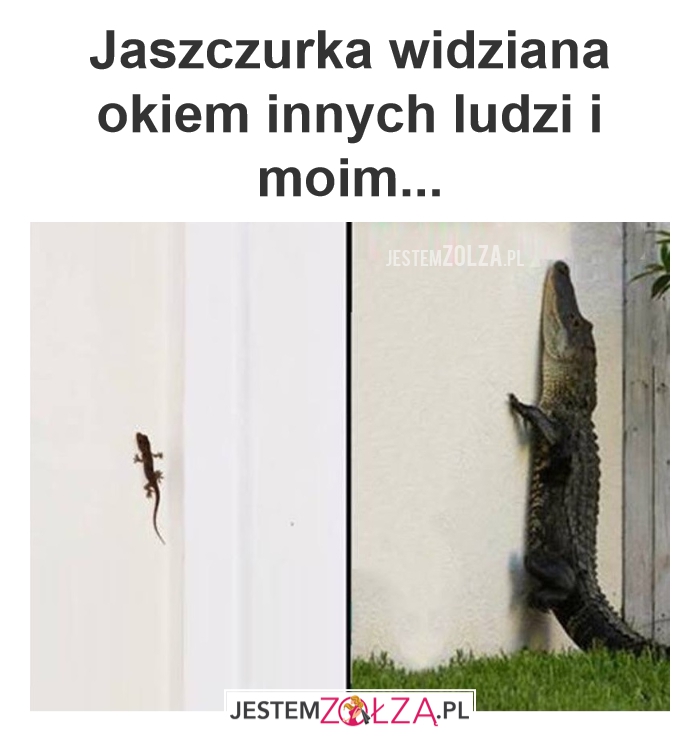 Jaszczura