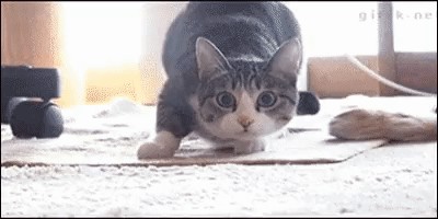 Shake it!