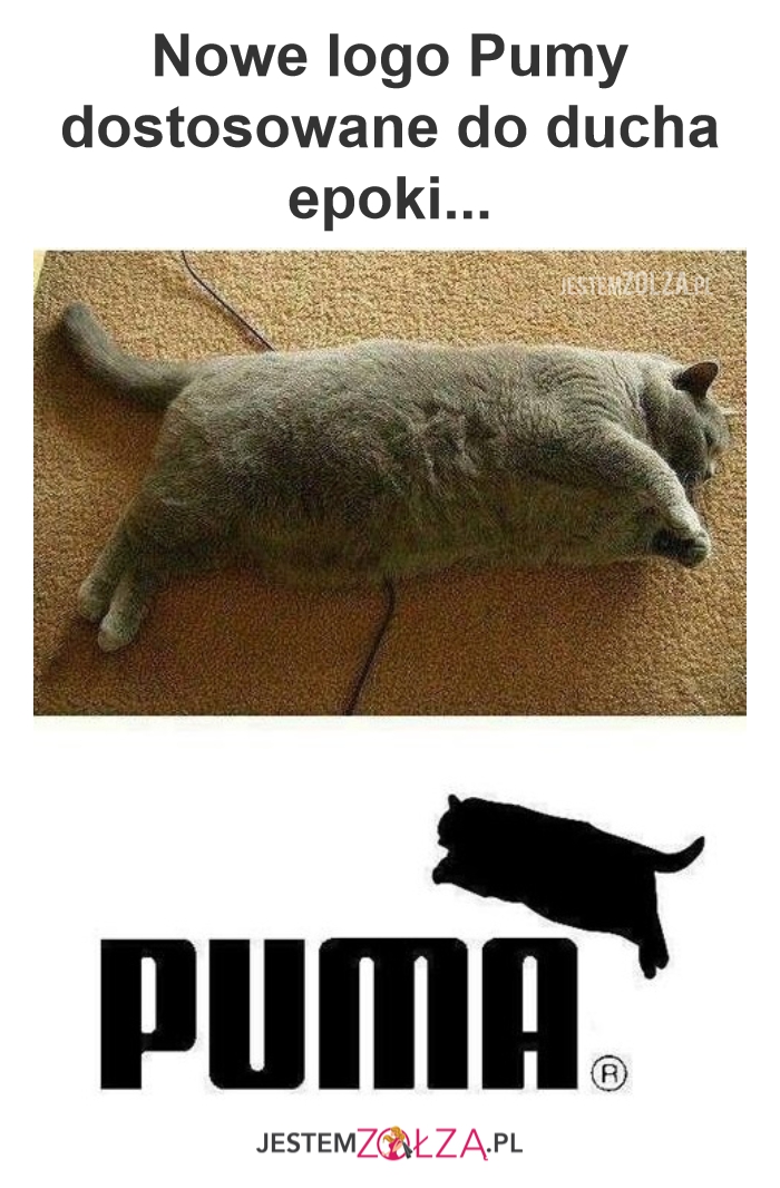 Puma