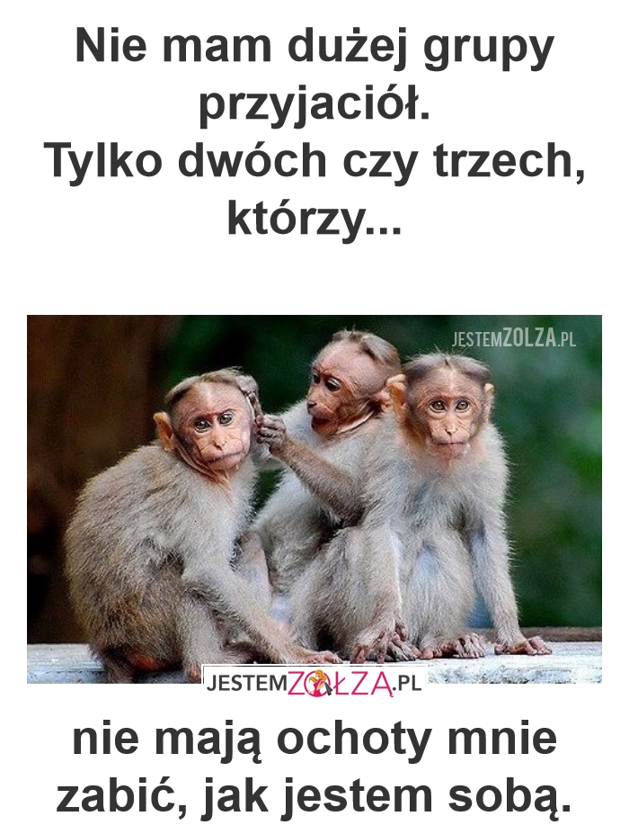 Przyjaciele