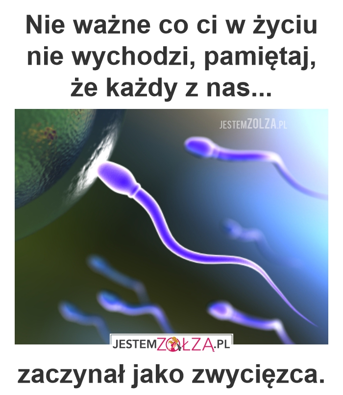 Zwycięzca
