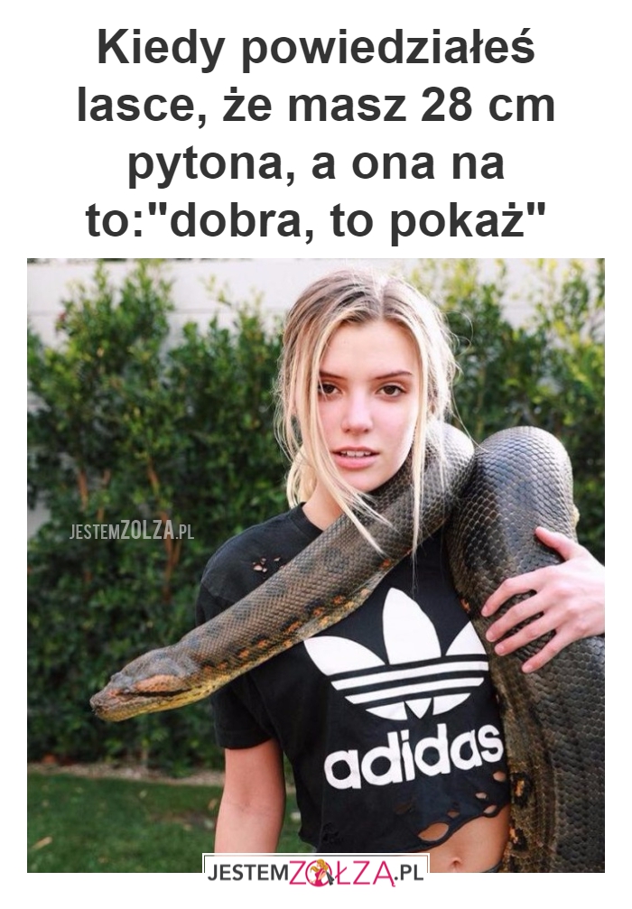 Kiedy powiedziałeś