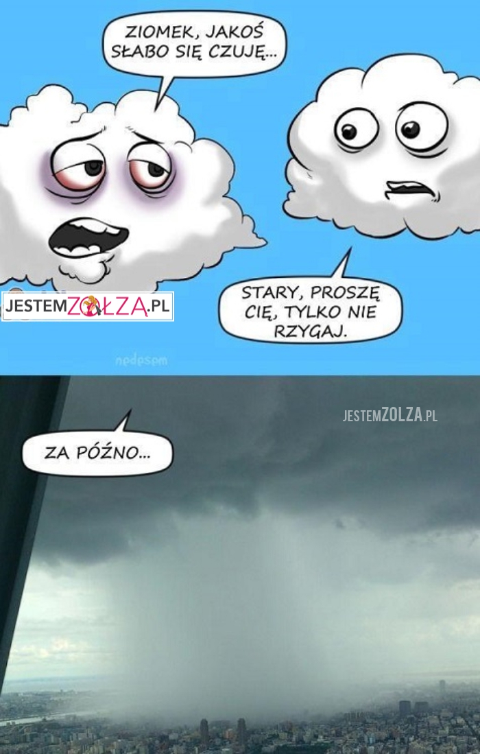 Deszczyk