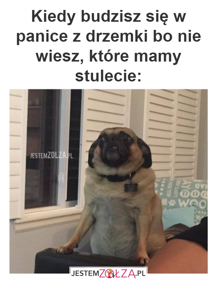 Stulecie