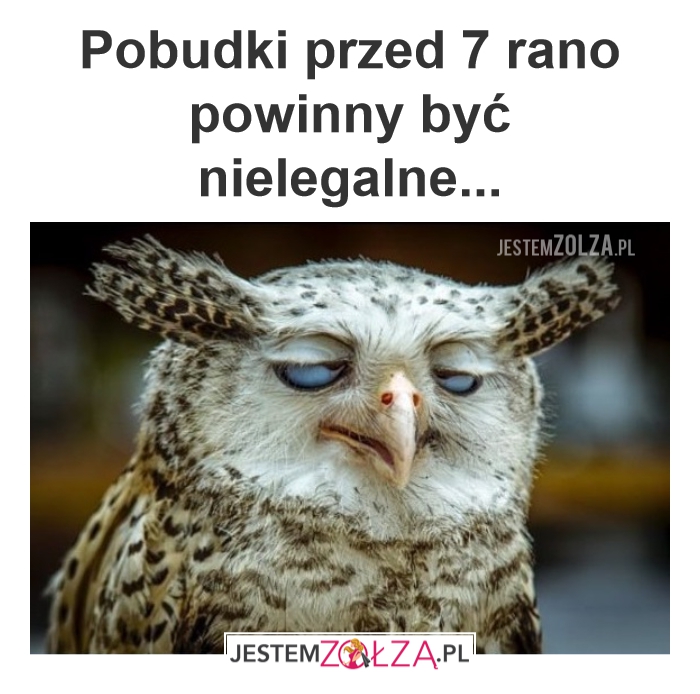 Pobudka