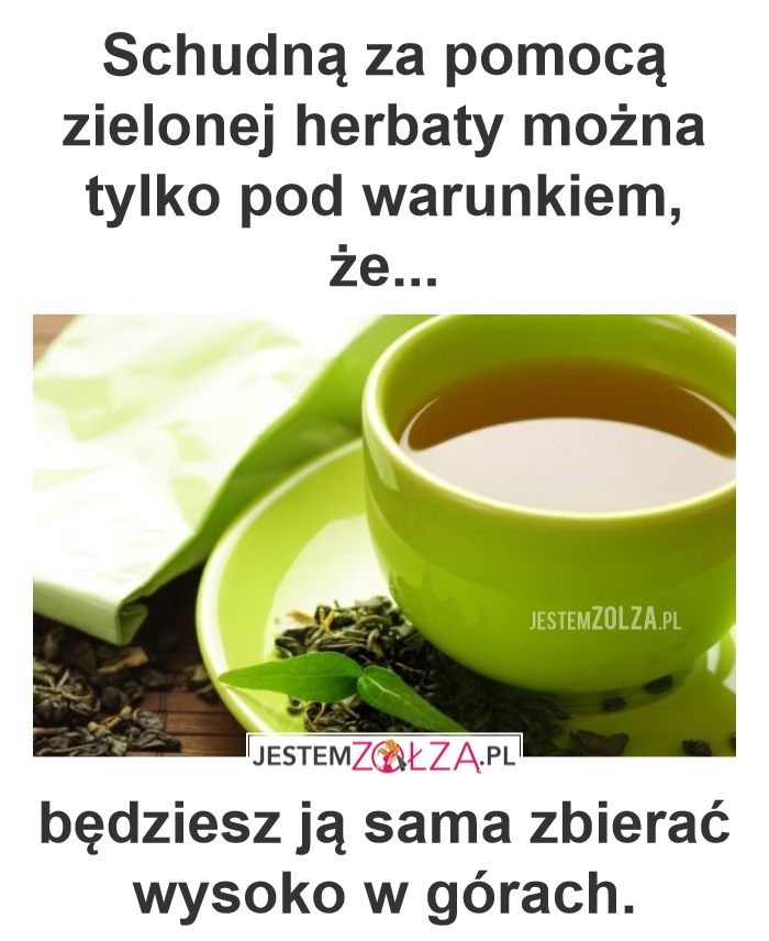 Zielona herbata
