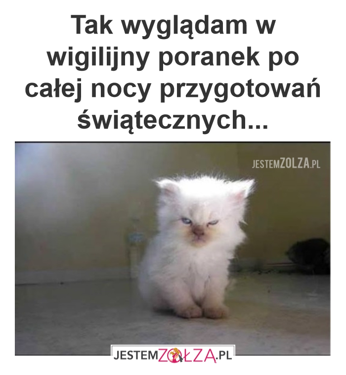 Świąteczne przygotowania