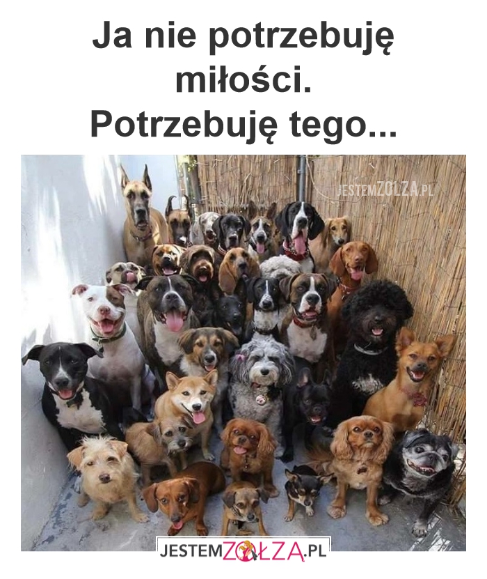 Miłość