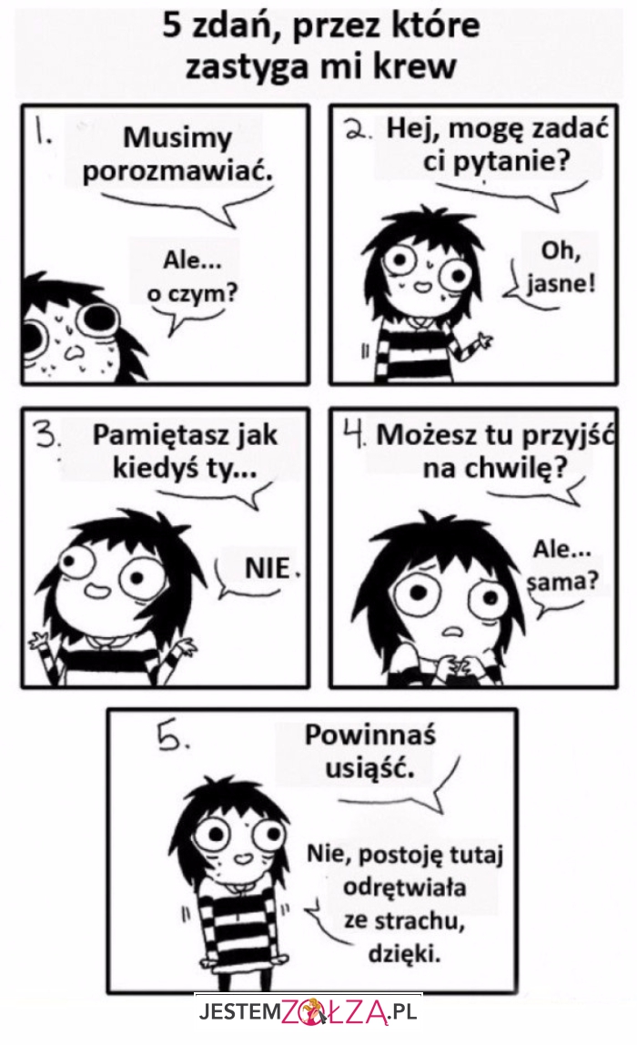 5 zdań